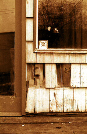 Window Dressing